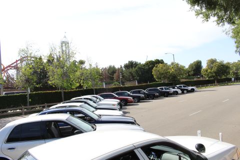 Row of parked sedans along a hedge with a roller coaster in the background