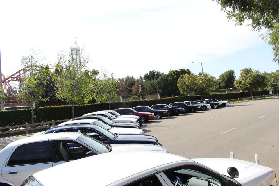 Row of parked sedans along a hedge with a roller coaster in the background