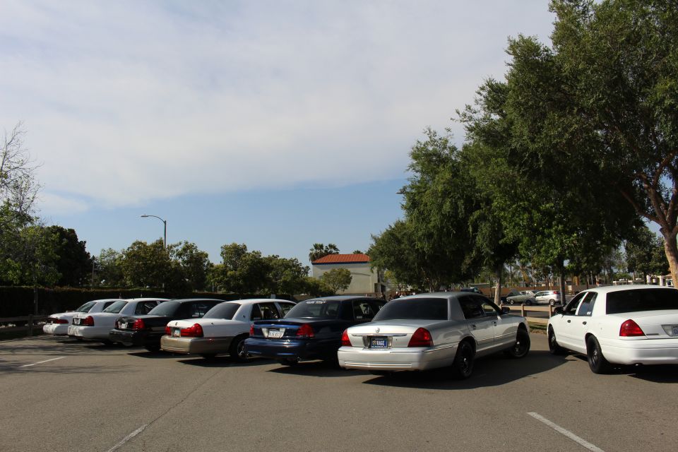 Row of parked sedans beside a large tree in a sunny lot
