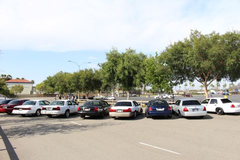 Several sedans parked head-in across a lot with trees and people behind