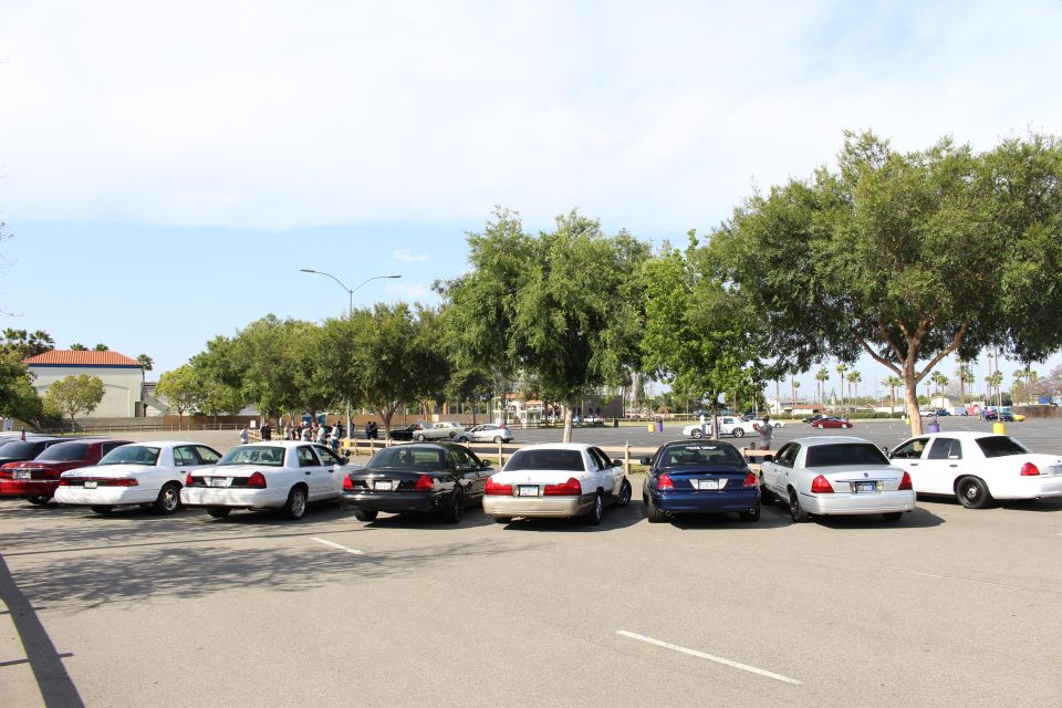 Several sedans parked head-in across a lot with trees and people behind