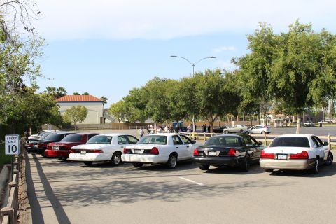Diagonal row of sedans parked by a 10 mph sign with people gathered behind