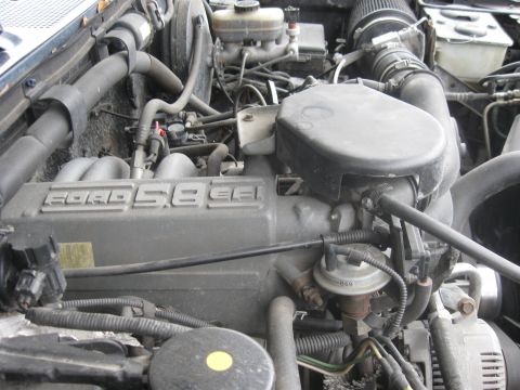 1995 Ford Bronco photo