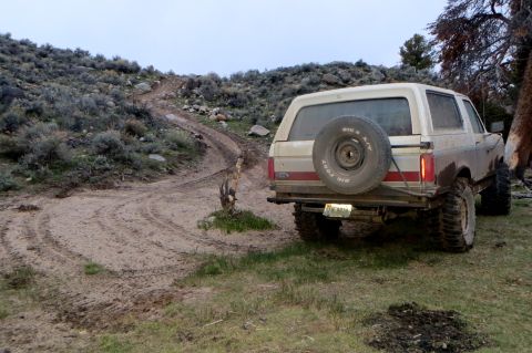 1989 Ford Bronco - This 1989 Ford Bronco is seen from the rear, parked on a muddy trail in a rural setting.