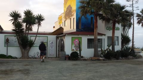 1996 Ford Bronco - A building with vibrant murals and palm trees, a person walks away in the foreground.