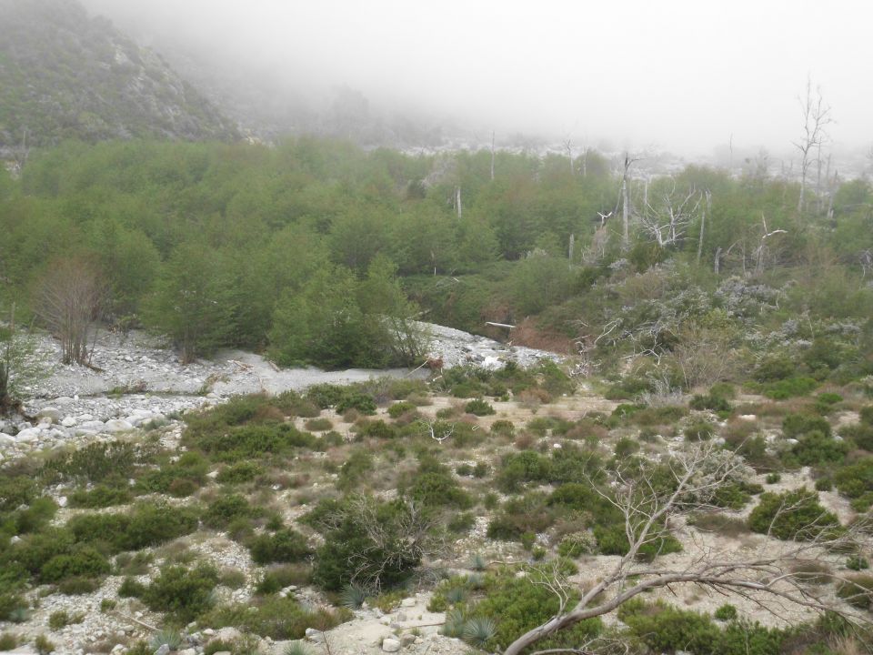 Misty mountain landscape with dry riverbed and vegetation