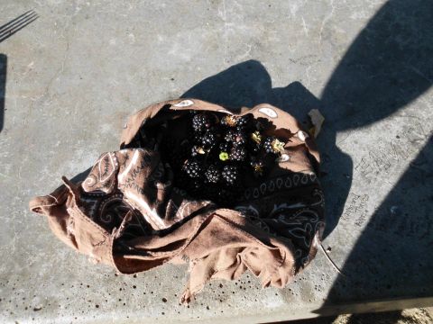 1988 Ford Bronco - A bandana holds a pile of fresh blackberries, with a fork's shadow cast nearby.