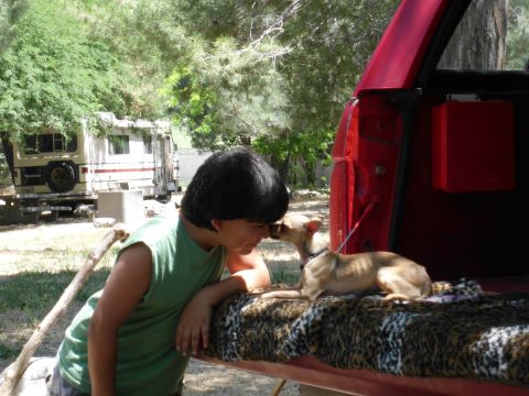 1988 Ford Bronco - A boy and his dog share a moment in the bed of a red truck, with an RV parked nearby.