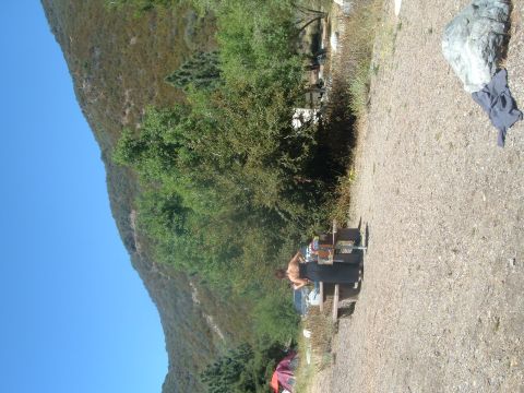 1988 Ford Bronco - A scenic outdoor setting with a picnic table and people enjoying the day.