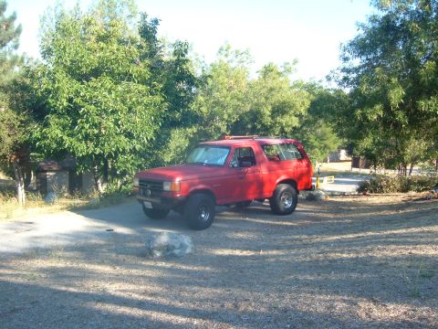 1988 Ford Bronco - This red 1988 Ford Bronco is parked in a wooded area, likely a campsite.