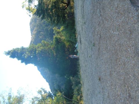 1988 Ford Bronco - A scenic view of a mountain and trees with a person in the background.