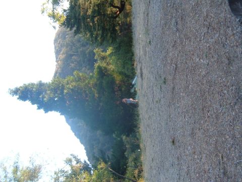 1988 Ford Bronco - A person stands in a natural setting with trees and a mountain visible.