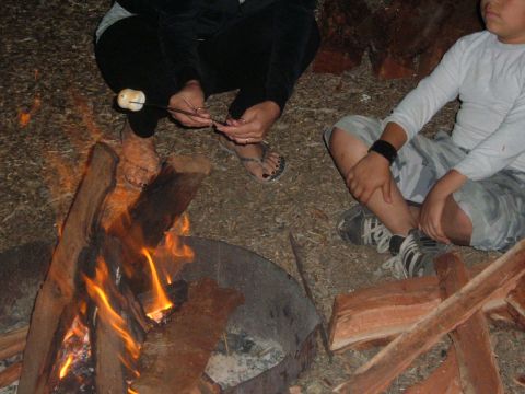 1988 Ford Bronco - Campfire scene with people roasting marshmallows.