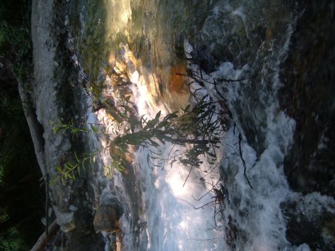 1988 Ford Bronco - A natural scene of a waterfall with rocks and vegetation, a SUPERMOTORS watermark.