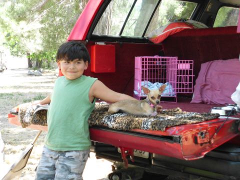 1988 Ford Bronco - Boy and chihuahua dog in the open tailgate of a vehicle during a camping trip.
