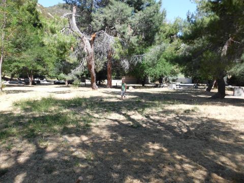 1988 Ford Bronco - A child stands in a park-like setting with trees and picnic tables visible in the background.