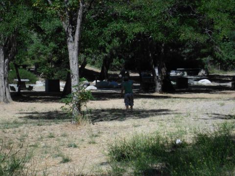 1988 Ford Bronco - A person stands in a shaded picnic area surrounded by trees and dry grass.
