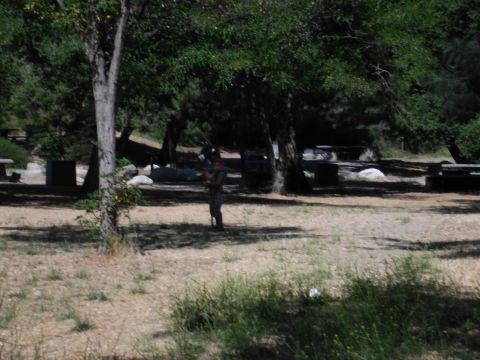 1988 Ford Bronco - A person stands in a park area with trees and picnic tables visible in the background.