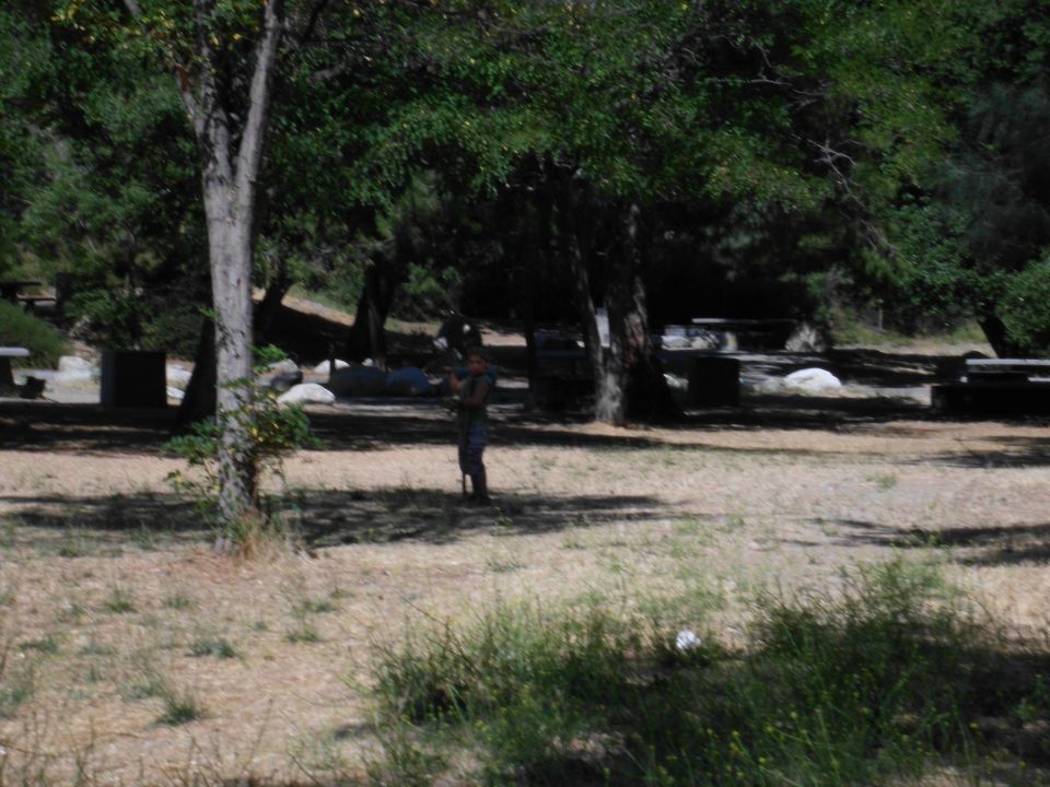 Person standing in a grassy park area with trees and picnic tables