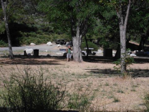 1988 Ford Bronco - A person stands in a shaded campsite area with picnic tables in the background.