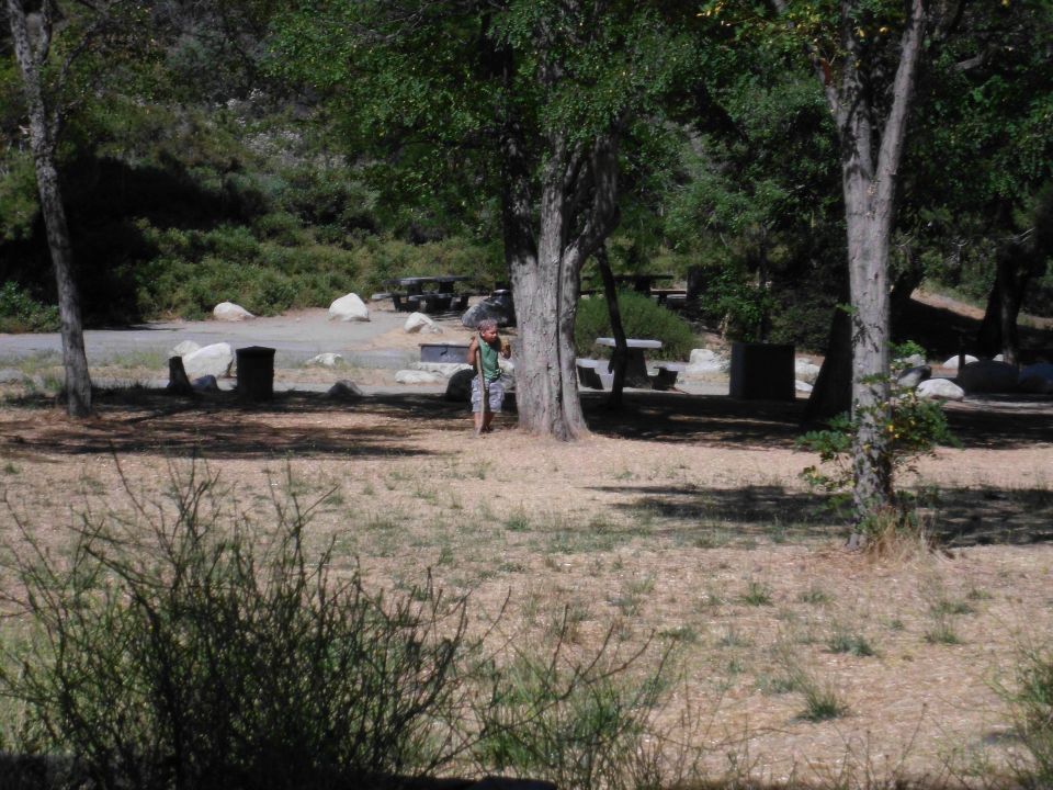 Campsite with picnic tables, trash cans, and a person standing near a tree