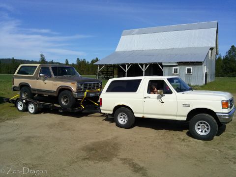 1990 Ford Bronco - A tan 1980 Ford Bronco is towed by a white Ford Bronco in front of a barn.