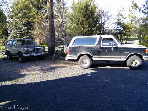 1990 Ford Bronco - Two Ford Broncos are parked side-by-side in an outdoor setting with trees and a fence in the background.
