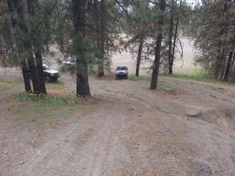 2005 Jeep Wrangler - Two SUVs are parked amongst pine trees in a dirt clearing.