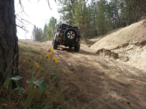 2005 Jeep Wrangler - A Jeep Wrangler navigates an off-road trail through a wooded area.