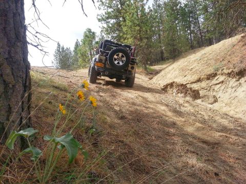 2005 Jeep Wrangler - A 2005 Jeep Wrangler navigates an off-road trail surrounded by trees and dry grass.