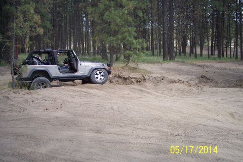 1990 Ford Bronco - A Jeep Wrangler navigates a sandy trail surrounded by tall pine trees.