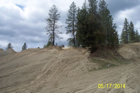 1990 Ford Bronco - An off-road vehicle navigates a dirt track amidst pine trees under a cloudy sky.
