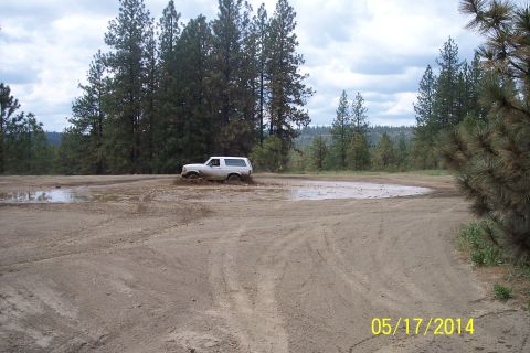 1990 Ford Bronco - A white SUV navigates a muddy track surrounded by trees under a cloudy sky.