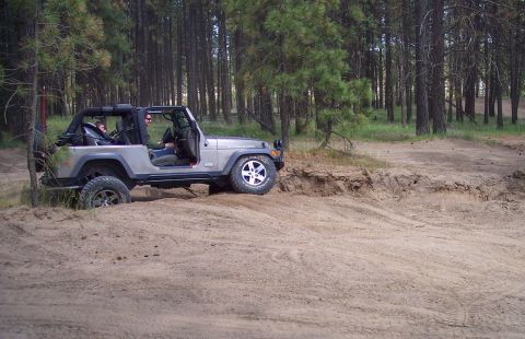 2005 Jeep Wrangler - A silver 2005 Jeep Wrangler navigates a sandy trail through a pine forest.