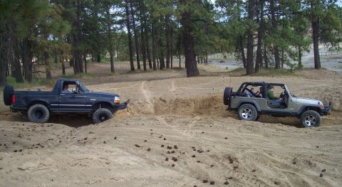2005 Jeep Wrangler - Two off-road vehicles, a 2005 Jeep Wrangler and a Ford Bronco, traverse a sandy trail surrounded by pine trees.