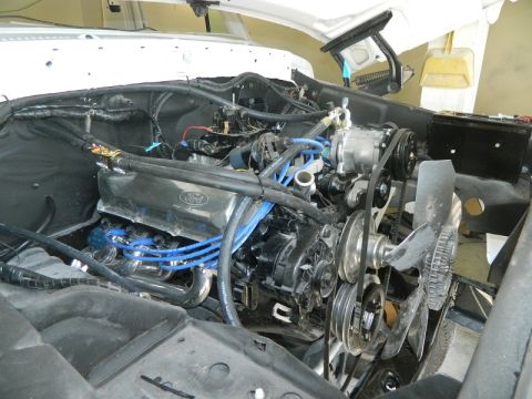 1979 Ford Bronco - The engine bay of a 1979 Ford Bronco, showing its V8 engine with chrome valve covers and blue spark plug wires.