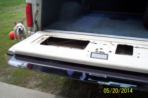 1990 Ford Bronco - The open tailgate of a white SUV reveals its interior, with a dog standing nearby on a grassy lawn.