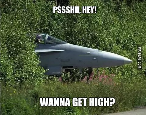 2000 Mercury Grand Marquis - A fighter jet is seen peeking out from behind dense foliage, with humorous text overlaid on the image.