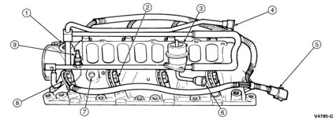1994 Ford Bronco - Exploded parts diagram of the intake manifold showing sensors, fittings and components with numbered callouts.