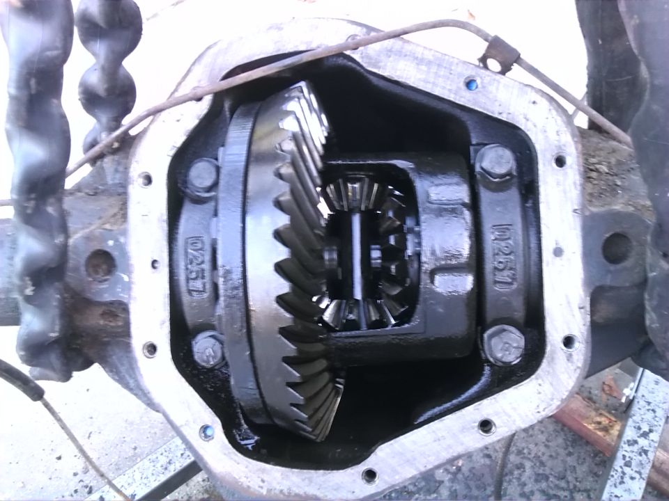 Differential gears with casting numbers 0257 visible