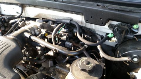 1998 Ford Expedition photo
