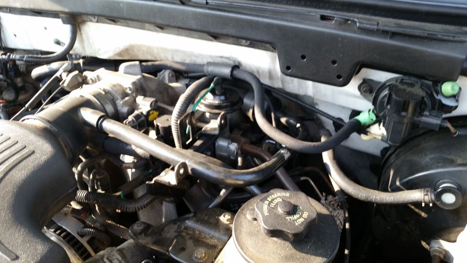 Engine bay of a 1998 Ford Expedition, showing hoses, wiring, and engine components