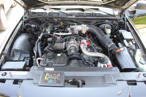 2003 Ford Crown Victoria - clean V8 engine bay showing the intake plumbing, alternator, battery and reservoirs under a raised hood.