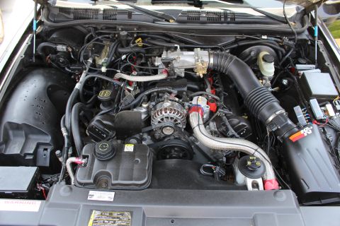 2003 Ford Crown Victoria - V8 engine bay with a K&N air intake, braided hoses, alternator and red anodized fittings under a raised hood.