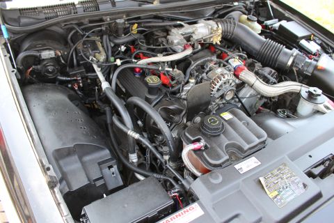 2003 Ford Crown Victoria - detailed view of a V8 engine bay with the alternator, intake tubing, braided lines and warning label visible.