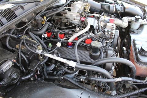2003 Ford Crown Victoria - close view of an engine valve cover with braided fuel lines, red anodized fittings and a black oil filler cap.