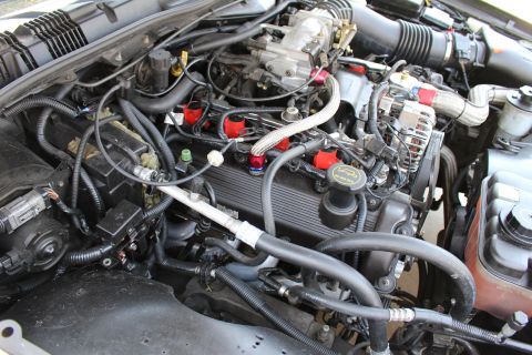 2003 Ford Crown Victoria - close view of an engine showing braided lines, the alternator, throttle body and red anodized fittings.