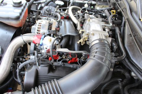 2003 Ford Crown Victoria - Engine bay showing a chrome alternator, aluminum throttle body, black intake tube and red ignition coil packs with braided lines.