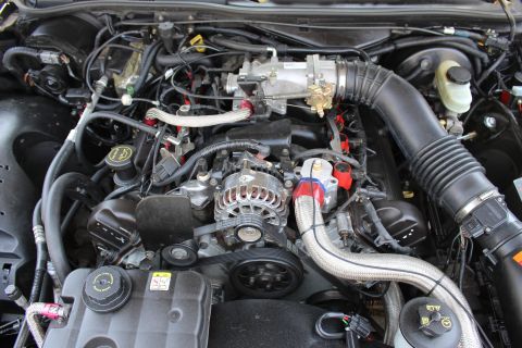 2003 Ford Crown Victoria - Engine bay showing a chrome-finned alternator, serpentine accessory belt, throttle body, braided hose and corrugated intake tube.