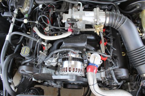 2003 Ford Crown Victoria - Close-up of a polished chrome alternator with a throttle body above, braided stainless line and red ignition coil packs.